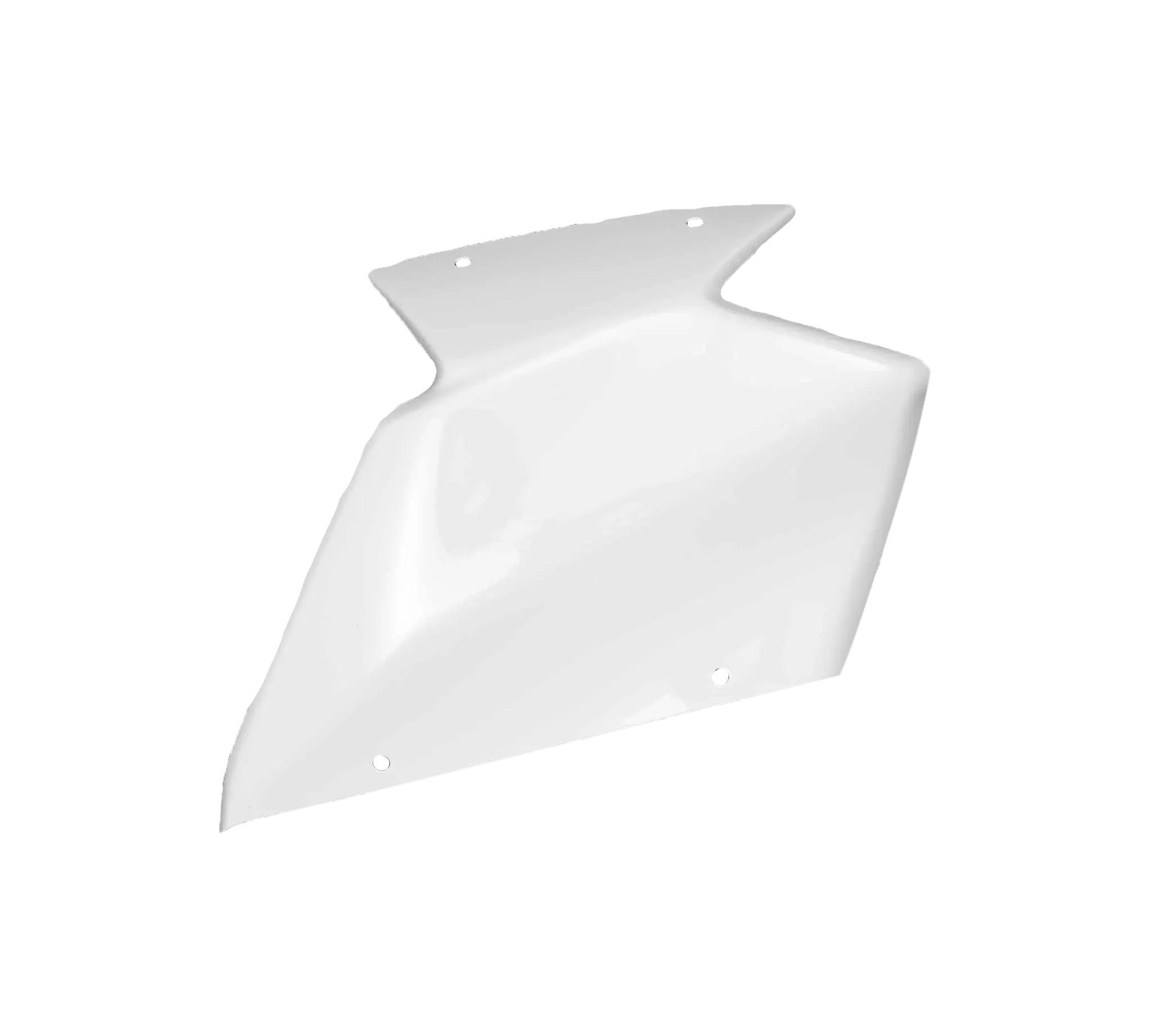 Komplettes Verkleidungsset Avio Fiber Kawasaki ZX-10 R/RR (21-25) Carbonin - Image 10