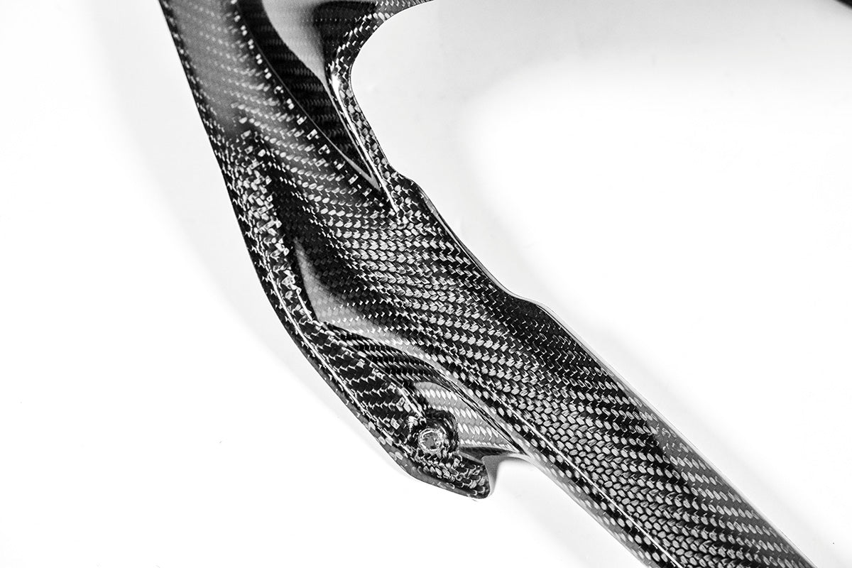 Hinterer Kotflügel 200g AP Carbon Line Ducati Panigale V4/S/R (25-26) - Image 9