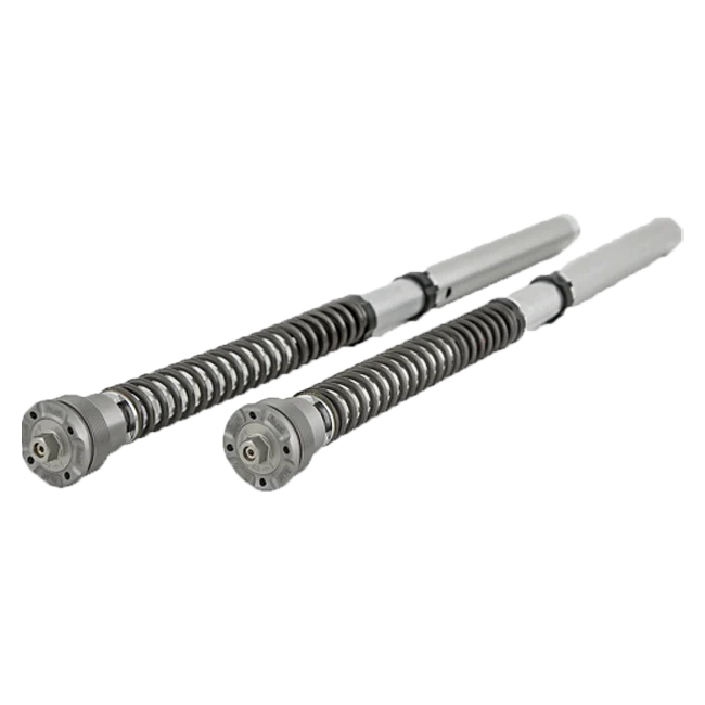 Öhlins NIX 30 Cartridge Kit FGK 229 Ducati Panigale 959 (16-19)