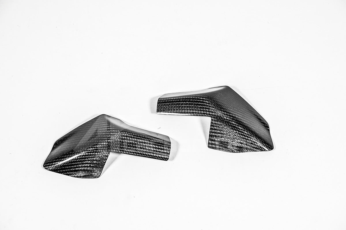 Tankschutz Protektoren 200g AP Carbon Line Ducati Panigale V4/S (25-26) - Image 5