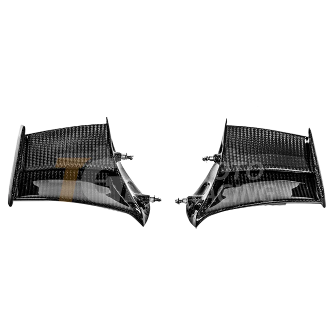 Winglets 200g Carbon AP Carbon Line Ducati Panigale V4 R (2026)
